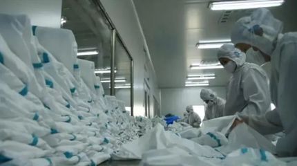 棗莊市市中區(qū)黨建引領 優(yōu)化服務 做好企業(yè)復產用工保障