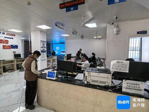 海口美蘭區(qū)打造專業(yè)智庫賦能自貿港建設 一站式咨詢服務破解企業(yè)難題