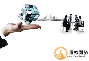 鳳軟網絡 專業外貿網站建設與企業咨詢服務