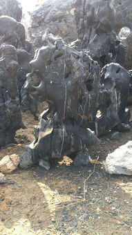 太湖石假山,太湖石假山生產(chǎn)廠家,太湖石假山價格